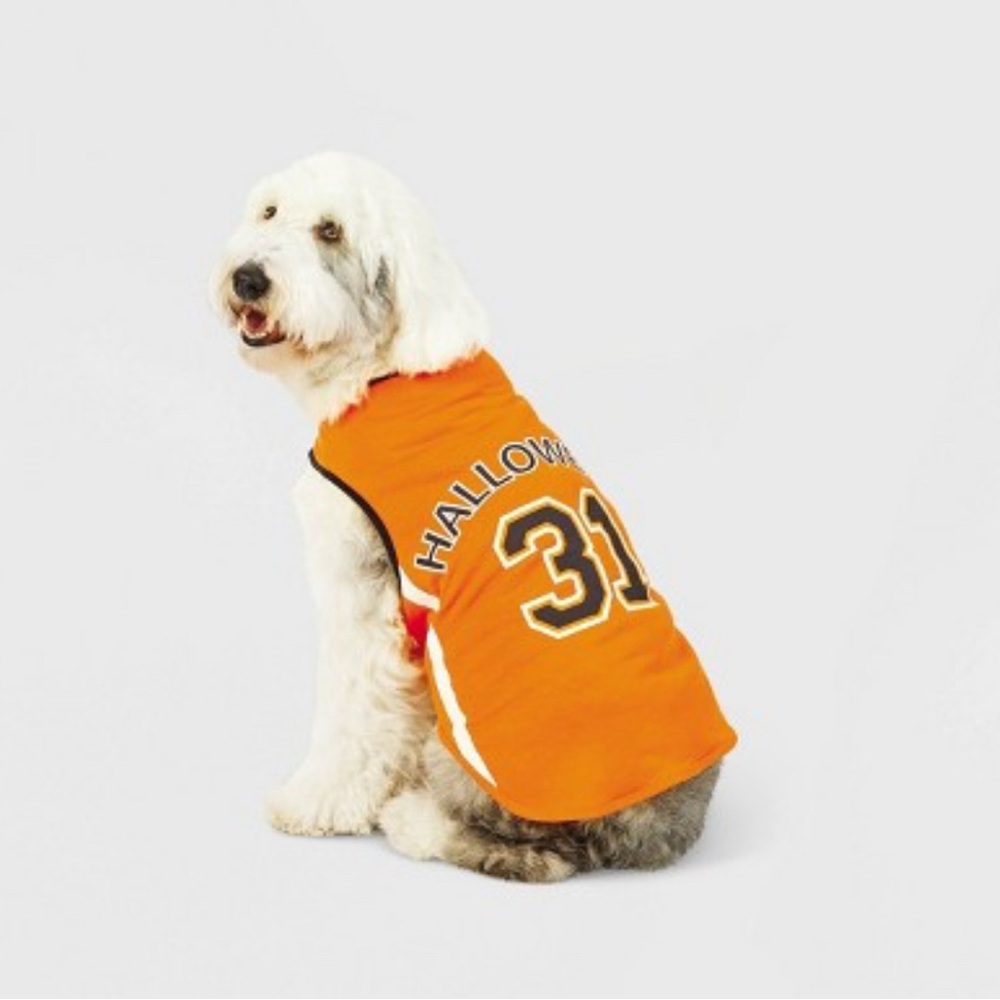 Hyde & Eek! Boutique Halloween 31 Pet Jersey